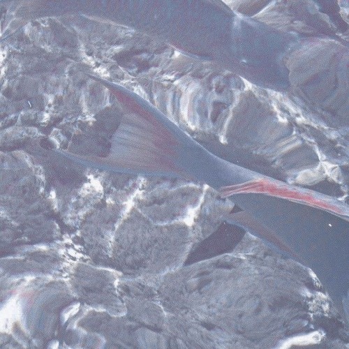 너는 내 세상이었어 𝕊𝕡𝕒𝕔𝕖 - 𝔹𝕆𝕃4 //slowed reverb//