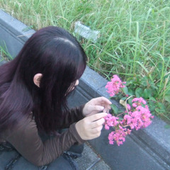 風を食む