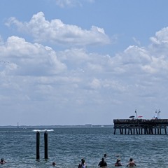 POP! THAT! POOLTOY! (DAEDALUS DOG REMIX)