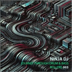 003 Journey Through Drum & Bass (Rollers)