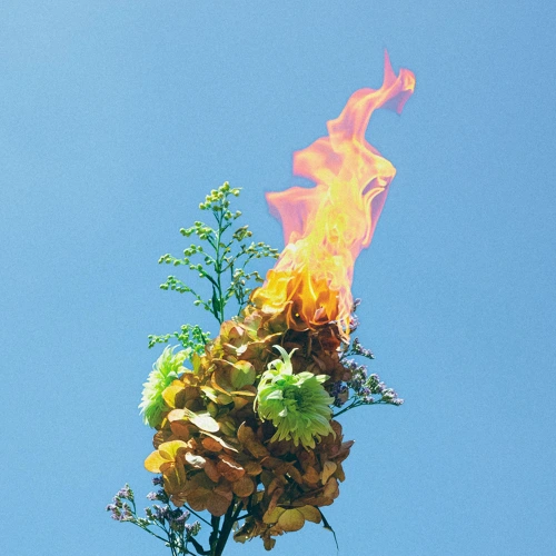 Artwork for the song Alone by SWIM on Next Sound
