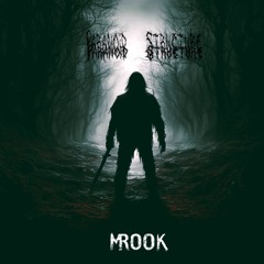 Mrook - Paranoid Structure