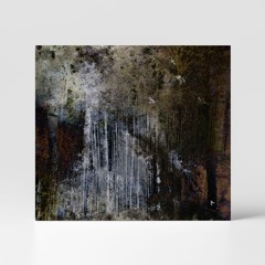 Joachim Spieth - Terrain