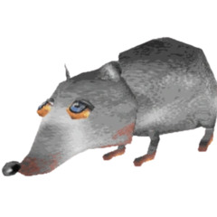 Rats N Toe (Jerma985)