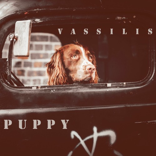 Puppy