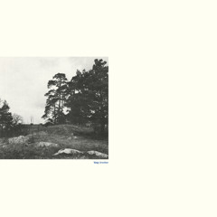 Label: Northern Electronics // SWE