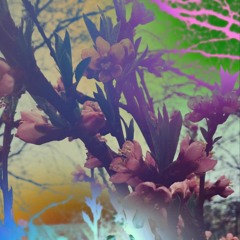 You Are Beautiful (Prod. Matthew May)