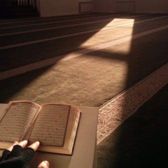 ما تيسر من سورة غافر| ش.وليد السعيد