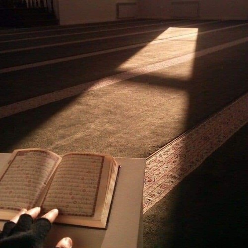 ما تيسر من سورة غافر| ش.وليد السعيد