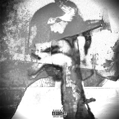 DIE VLONE PT.4 (prod.Metafreeze)