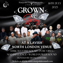 grown n sexy 23 FULL AUDIO