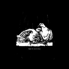 Suis La Lune - With Wings Of Feathers And Glue