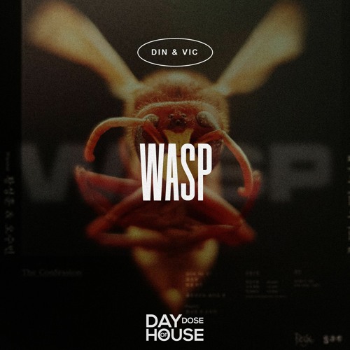 Din & Vic - Wasp (Extended Mix)