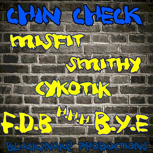 CHIN CHECK. MISFIT SMITHY CYKOTIK.