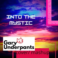 Into The Mystic - [feat. Adam James vocals]