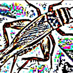 Crickets And Guitar