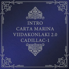 03 Viidakonlaki2.0