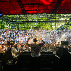Boris Coelman @ Into The Woods Festival | 20.09.24