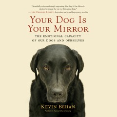 Your Dog Is Your Mirror by Kevin Behan