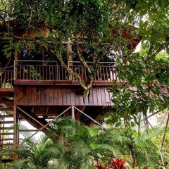 Treehouse in Costa Rica