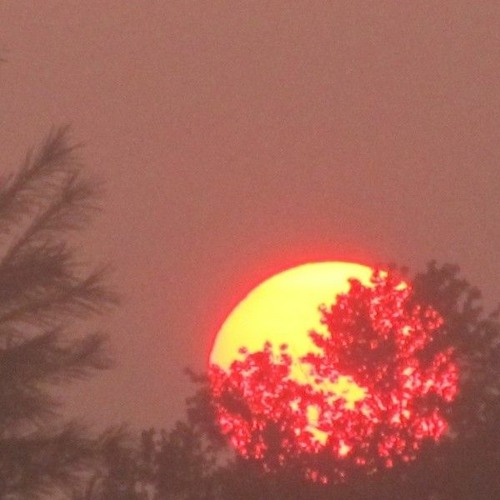 se so neon - go back (slowed + reverb)
