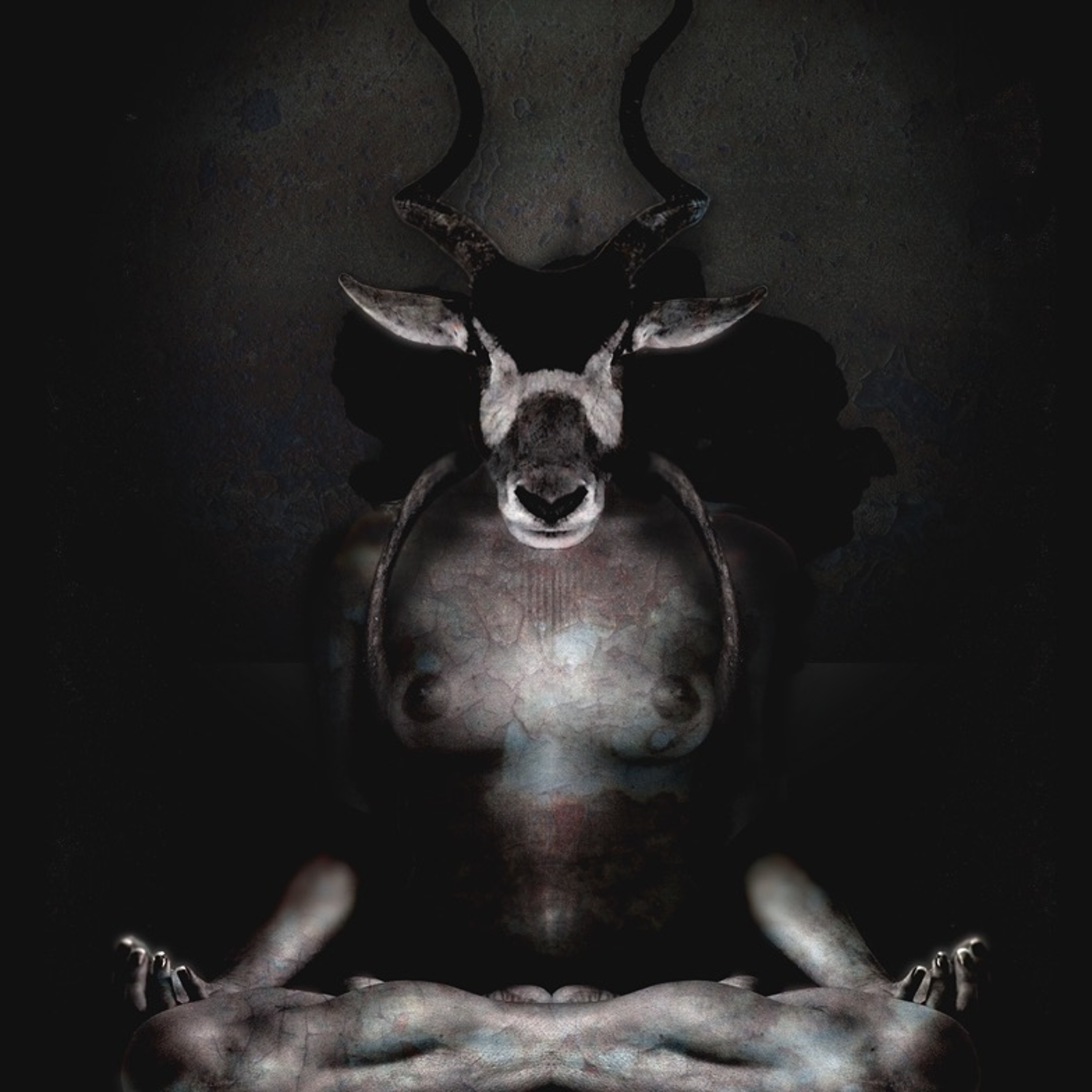 The Persephone Program: Astrology & More