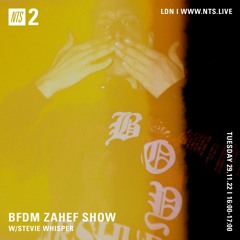 BFDM ZAHEF SHOW NTS RADIO  29/11/22 (STEVIE WHISPER)