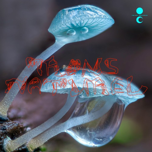 Transnaturel - Nehza Records - Snippets(V/A)