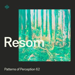 Patterns of Perception 62 - Resom