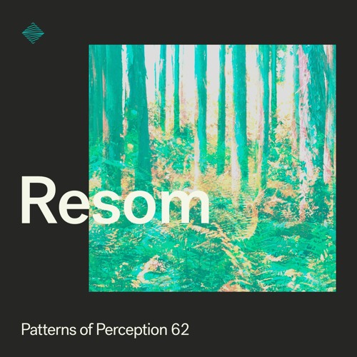 Patterns of Perception 62 - Resom