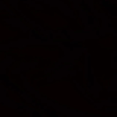 DJS005