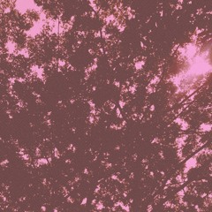 lost demos : 35° (take 4)