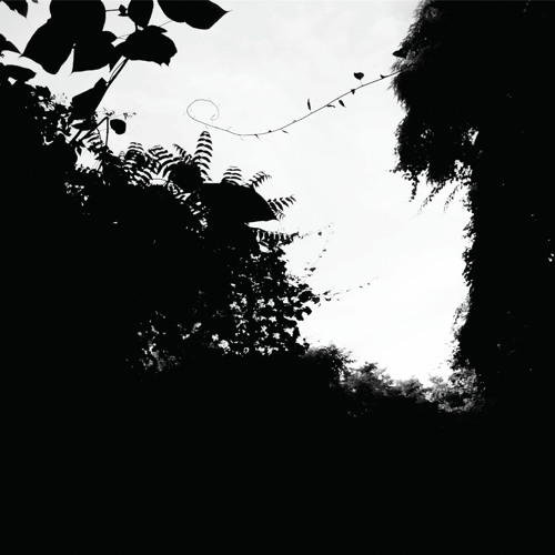 MOTDLP006 - William Selman - Bubble House In Shallow Depth