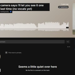 twikipedia - camera says i'll let you see it one last time (ftroyl scrap, no vocals)