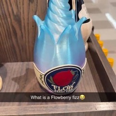 flowberry fizz (tripshitter)