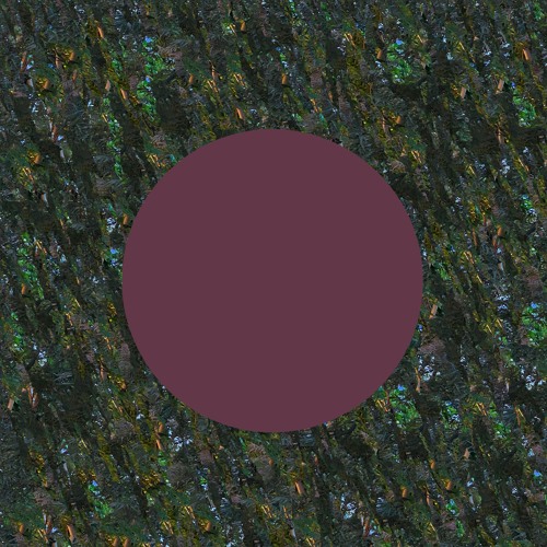 06. Elysian Fields
