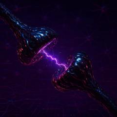 Synapse // Override