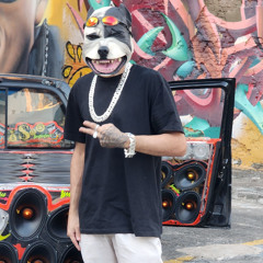 MC MR BIM -VAI CAVALA ( DOG BEATZ )
