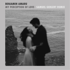 Benjamin Amaru - My Perception Of Love (Samuel Gehlert Remix)