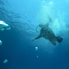 Prov - clarity through the smoke