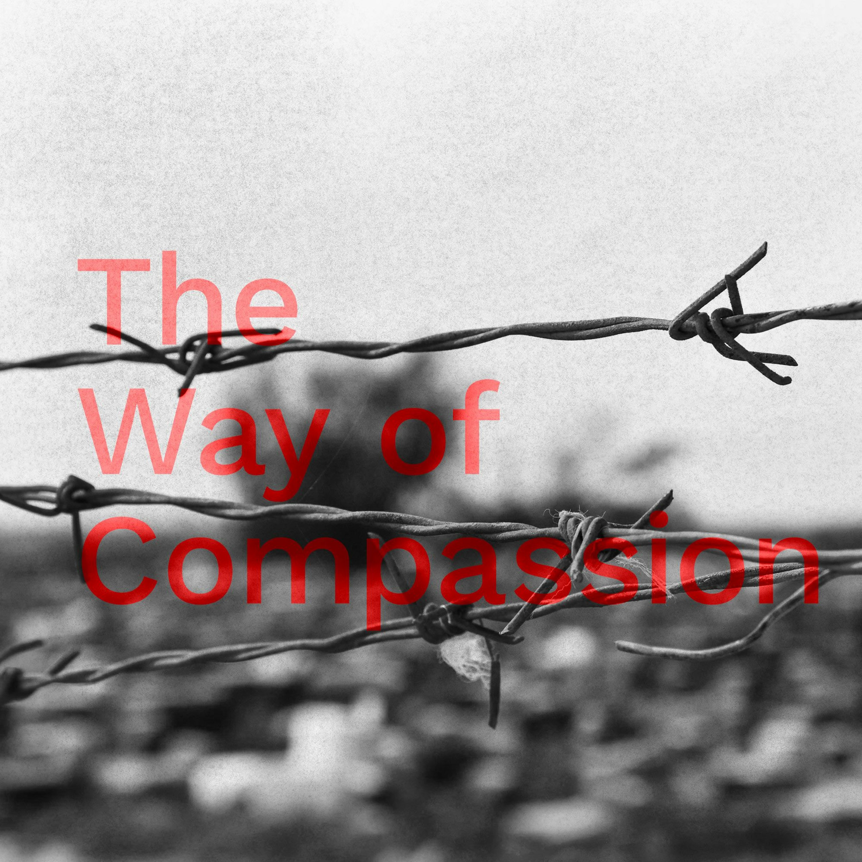 ’The Way of Compassion’ / Javier Chaviel