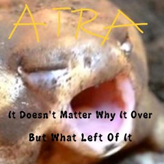 It Doesn't Matter Why Is Over, But What Left Of It