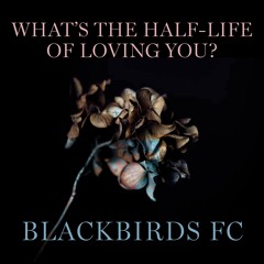 What's The Half - Life Of Loving You