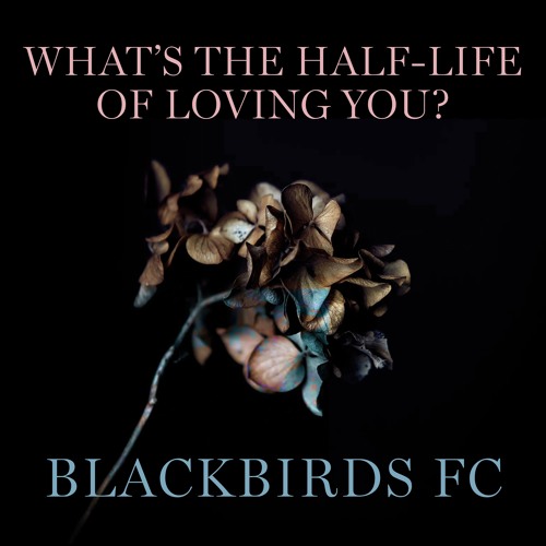 What's The Half - Life Of Loving You