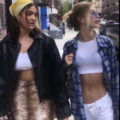 cardinal - hummingbird (kilolit)