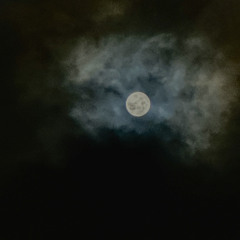 Oh My (Feat&Prod.Sleezi)