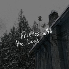 friends with the bugs