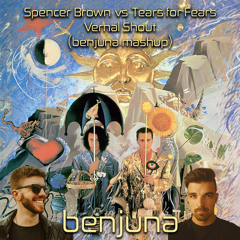 Spencer Brown vs Tears for Fears - Vernal Shout (benjuna mashup)