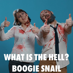 What is the hell? by Boogie Snail, is mixed and mastered by www.bsmastering.com
