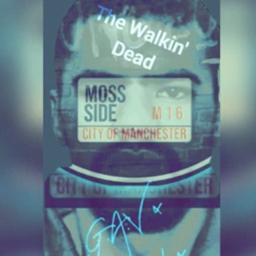 Stream G.A.V x 1Torcha Boss 'Black Ice' by BLUZZY | Listen online for ...